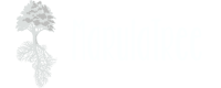 Marula Tree- A Game of Roots